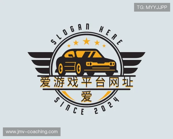 介绍爱游戏平台网址